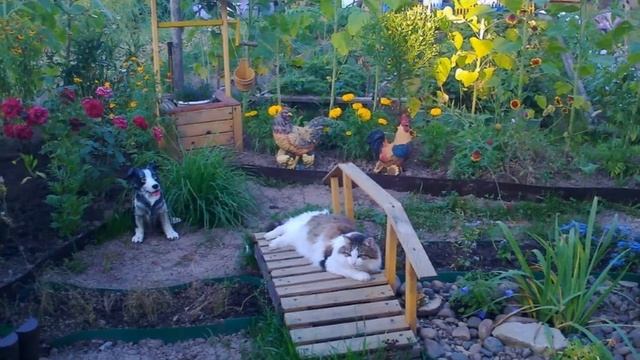 ЛАНДШАФТНЫЙ ДИЗАЙН НА ДАЧЕ смотреть онлайн