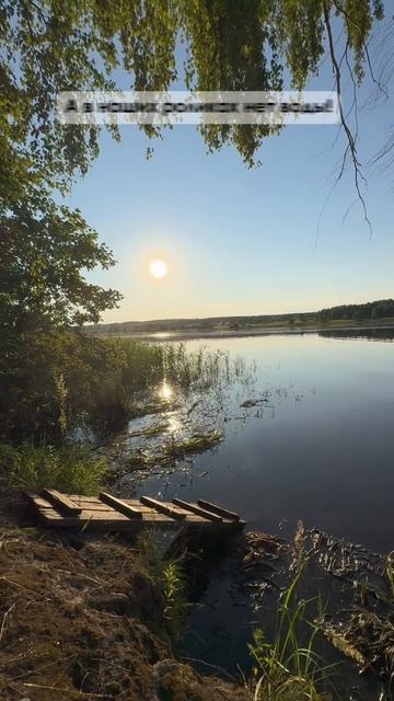 Без воды #видео #анимация #видеоролик #заказатьролик #анимация #съёмка #юмор #видеостудия #реклама смотреть онлайн