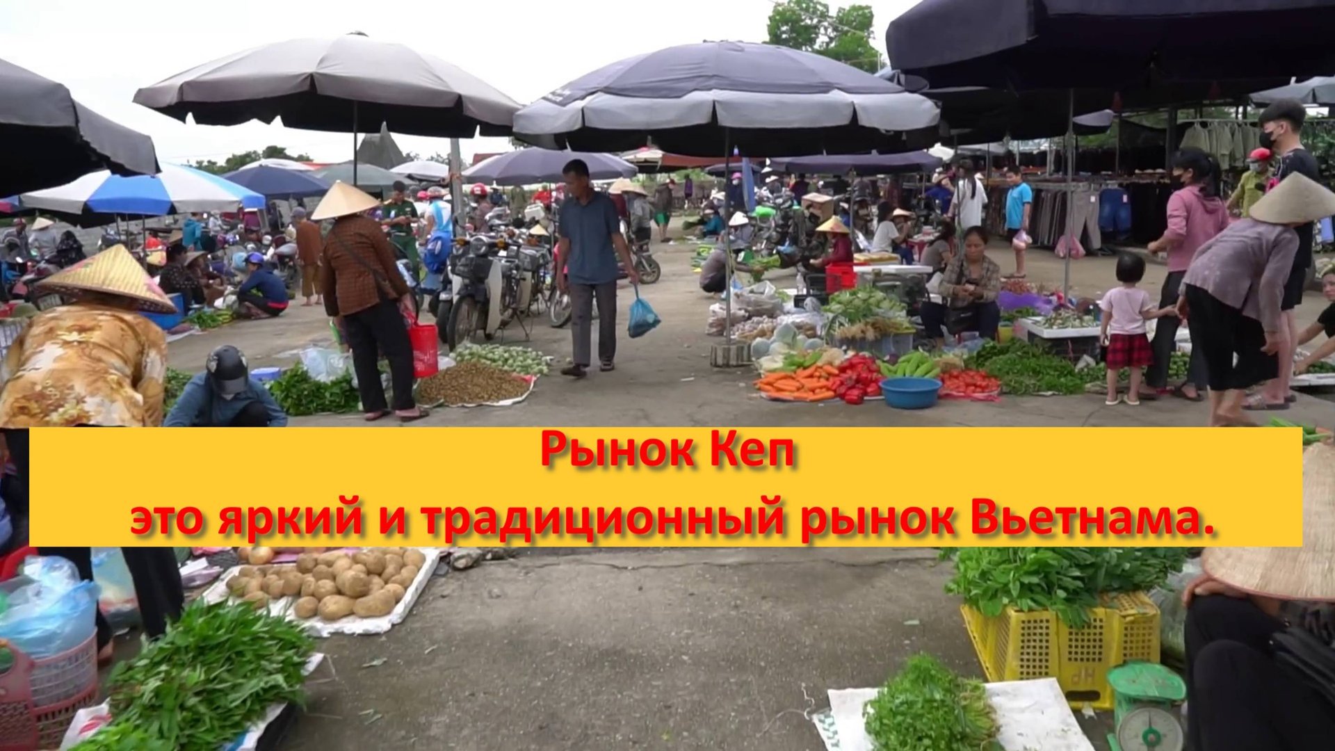Рынок Кеп — это яркий и традиционный рынок Вьетнама.