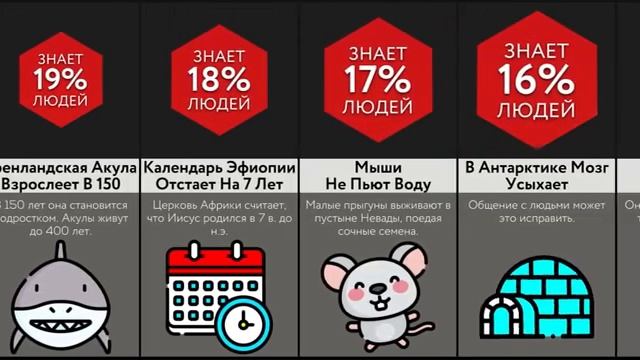 Спорим, Ты Этого Не Знал?! (Часть 6) смотреть онлайн