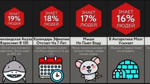 Спорим, Ты Этого Не Знал?! (Часть 6)