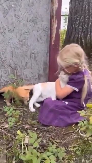 познакомила своего котенка смотреть онлайн