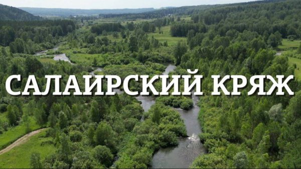 Салаирский кряж