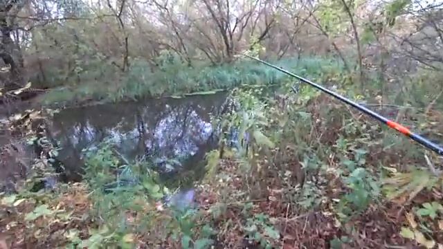 Рыбалка на спиннинг смотреть онлайн