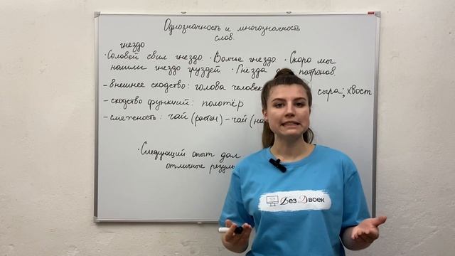 Урок 1. Однозначность и многозначность слов. смотреть онлайн