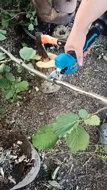 Набор садовых инструментов для сада 3 в 1, дачный смотреть онлайн