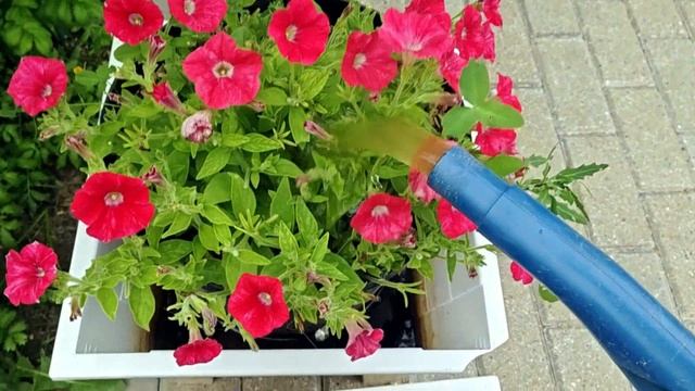 ПРОТИВ ШЁРСТКИ ОЙ КАК НЕ НРАВИТСЯ!!! смотреть онлайн