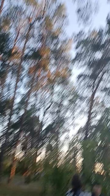 Гуляю по лагерю волна смотреть онлайн