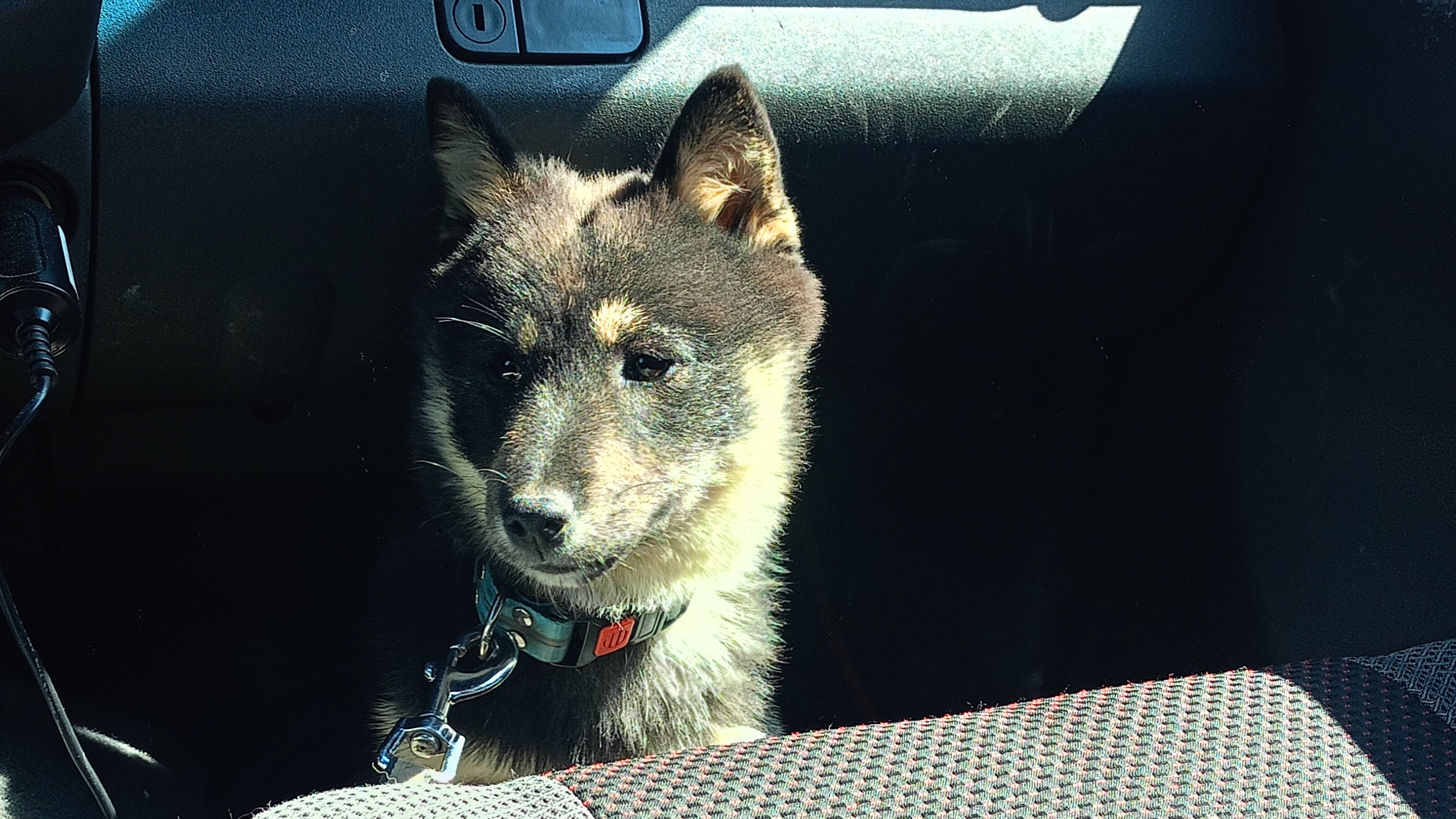 гооооооол смотреть онлайн