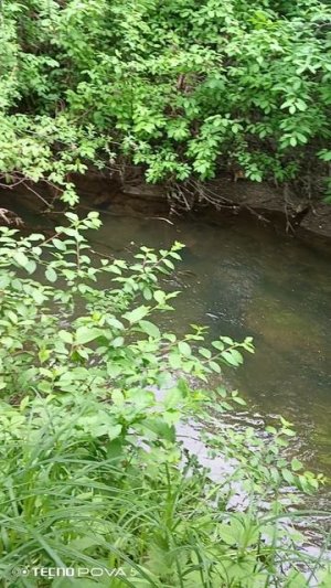 Дача ст Комаровка Заря 30