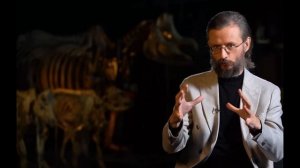 Станислав Дробышевский - Как выглядел древний человек
