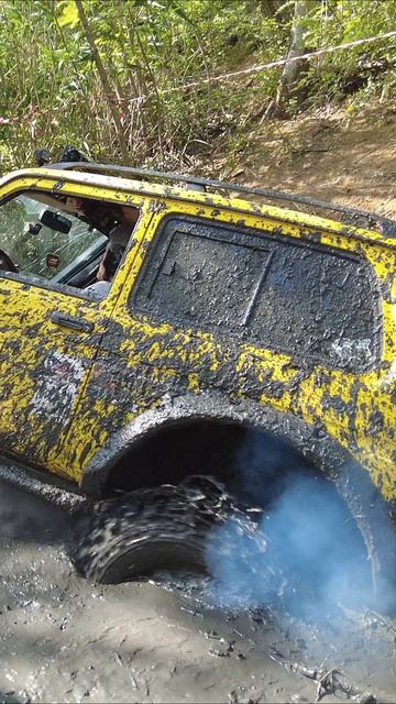 Желтая Нива