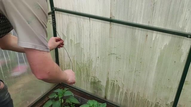 Электрокультура часть 2. Есть ли эффект.