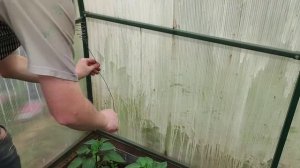 Электрокультура часть 2. Есть ли эффект.