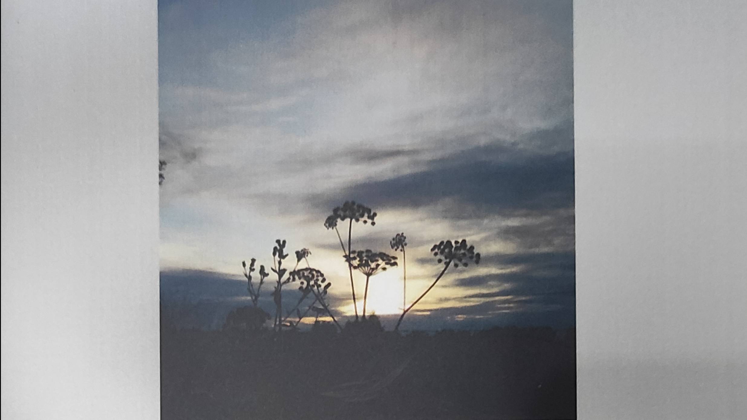 КНИГА 1094 Мария Бишокова. Далёкий день (СПб.: ООО «Р-КОПИ», 2023)