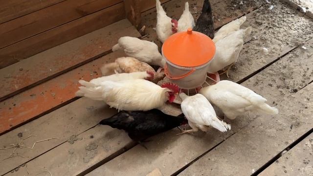 Едем выбирать новую мебель. Строим новый дом внутри старого. Собираем урожай. Жизнь в деревне. смотреть онлайн