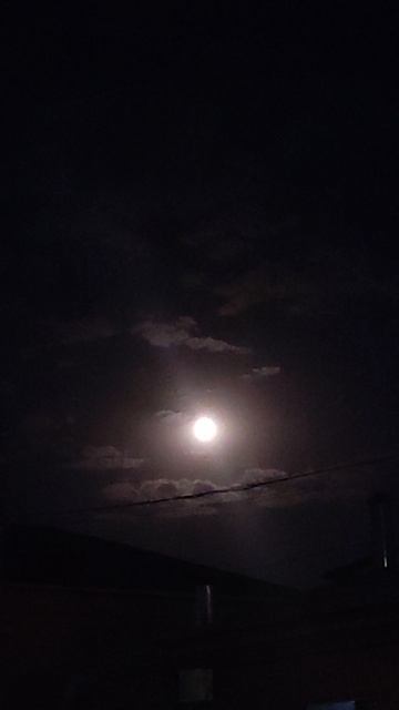 Полнолуние, очень большая, яркая луна, как живая. Она смотрела прямо на нас. Ейск