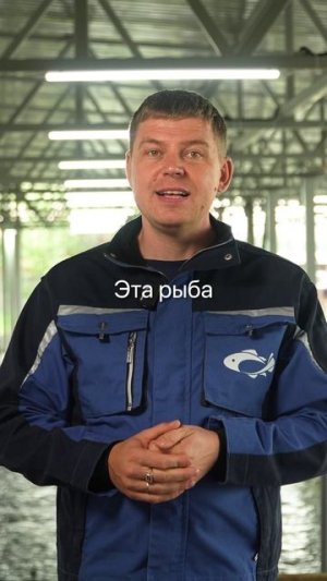 Форель в УЗВ: быстро растёт, дорого стоит. Почему это идеальный вариант для бизнеса?