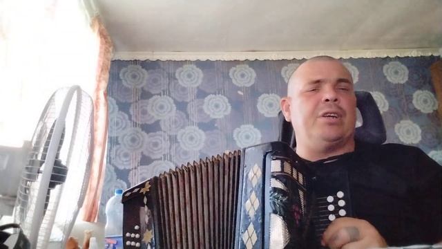 #песня про 🐱 на гармони #клёпа мягких облачков тебе друг