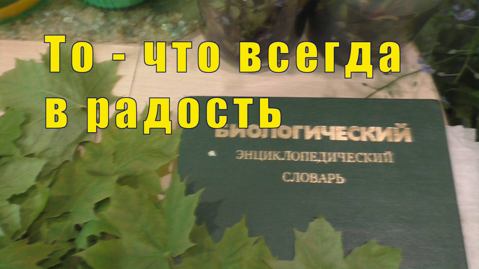 МОЙ АНГЕЛ СО МНОЙ/ ТО ЧТО ВСЕГДА В РАДОСТЬ/ 13 июля 2025 смотреть онлайн