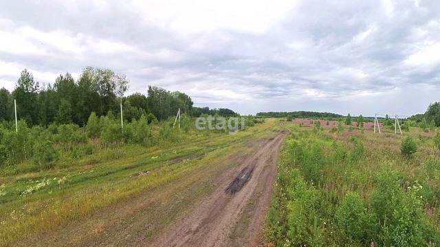 1717066 смотреть онлайн