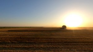 Сегодня Анатольевич проведет нас по степным просторам!