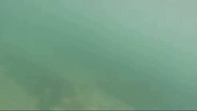Summer2014 xvid смотреть онлайн