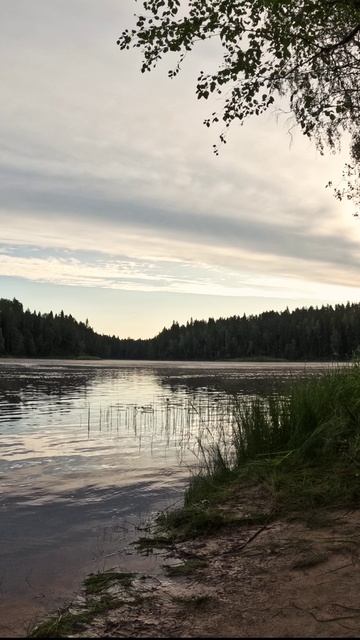 Утро на реке. смотреть онлайн