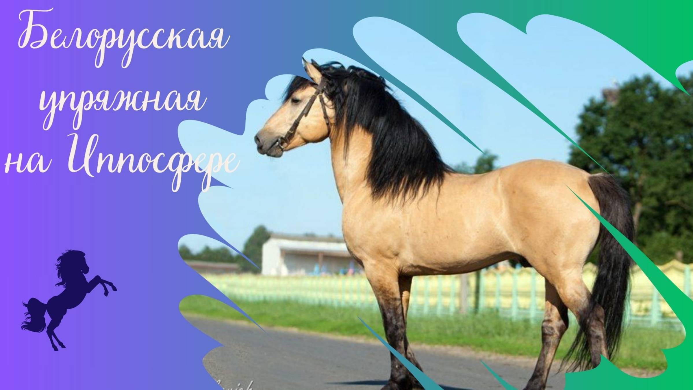 Атланты конного мира: белорусская упряжная порода на Иппосфере 2021-2024