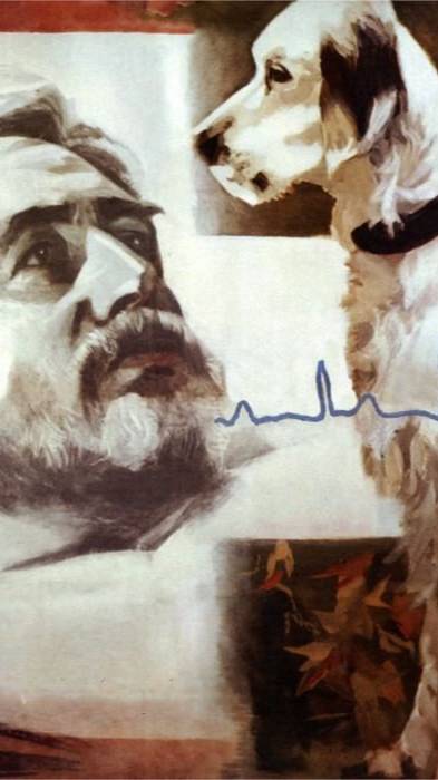 По местам съемок фильма "Белый Бим Чёрное ухо" | Полная версия на канале смотреть онлайн