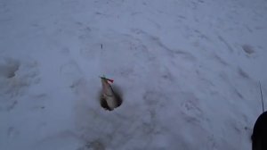 Рыбалка на жерлицы и балансир