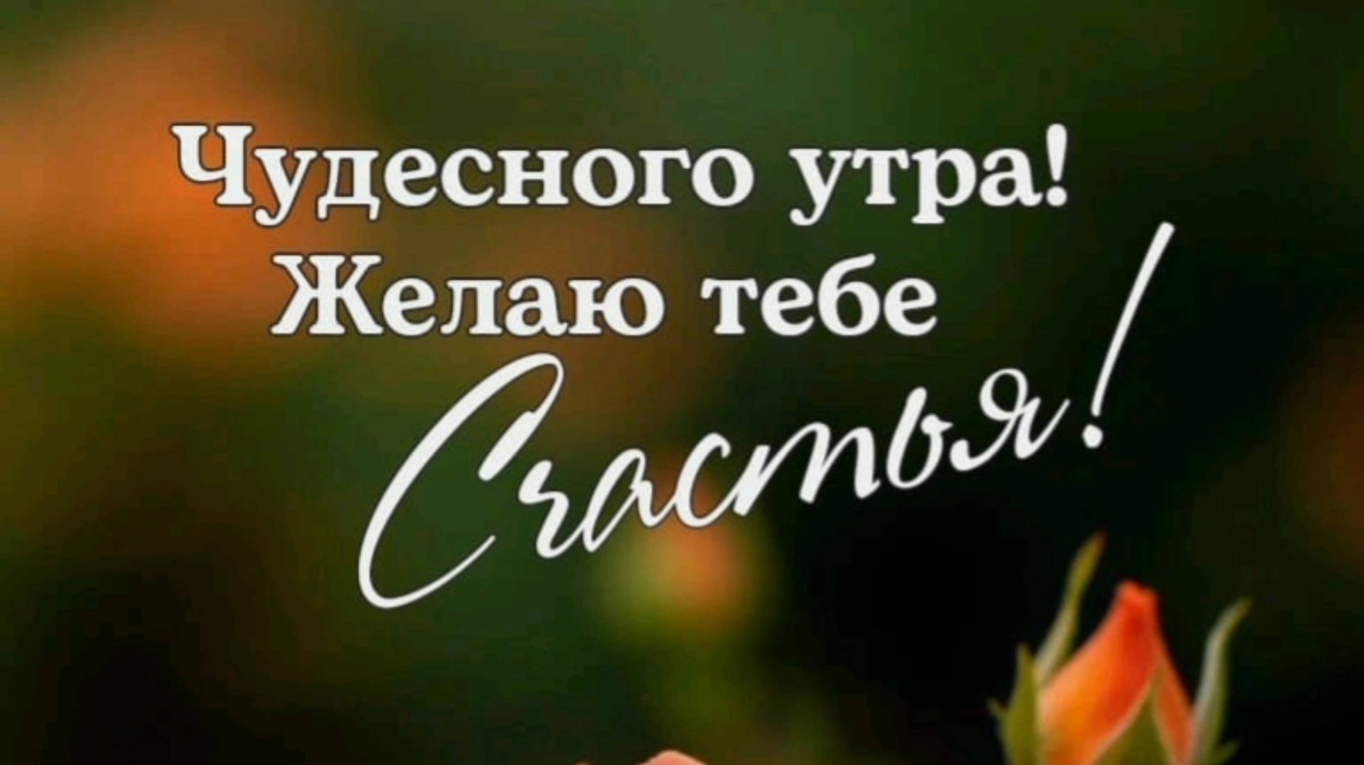 КРАСИВОЕ ПОЖЕЛАНИЕ ДОБРОГО УТРА смотреть онлайн