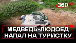Камчатский медведь набросился на спящую в палатке туристку из Саратова: состояние девушки