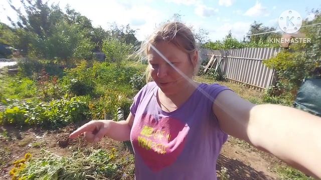 Травим тараканов/остались без урожая смотреть онлайн