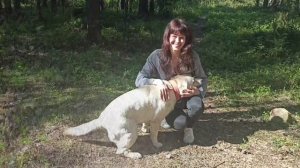 Чего от жизни хочется теперь. Слова: Ирина Самарина-Лабиринт. Аранжировка: Иван Белкин.