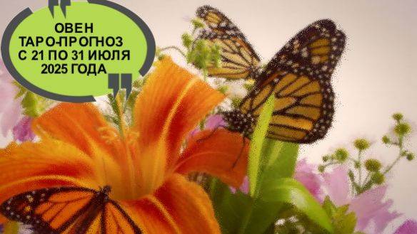 ОВЕН ТАРО-ПРОГНОЗ С 21 ПО 31 ИЮЛЯ 2025 ГОДА смотреть онлайн
