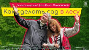 Как сделать сад в лесу. Секреты дачной феи Ольги Платоновой