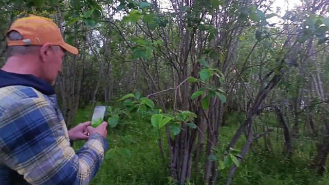 Воркута. 17.07.25. Неожиданные приятности смотреть онлайн