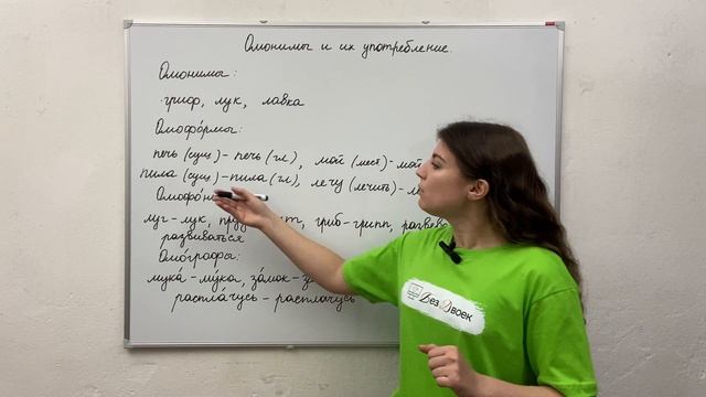 Урок 4. Омонимы и их употребление. смотреть онлайн