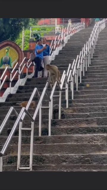 Увидел-сделал смотреть онлайн