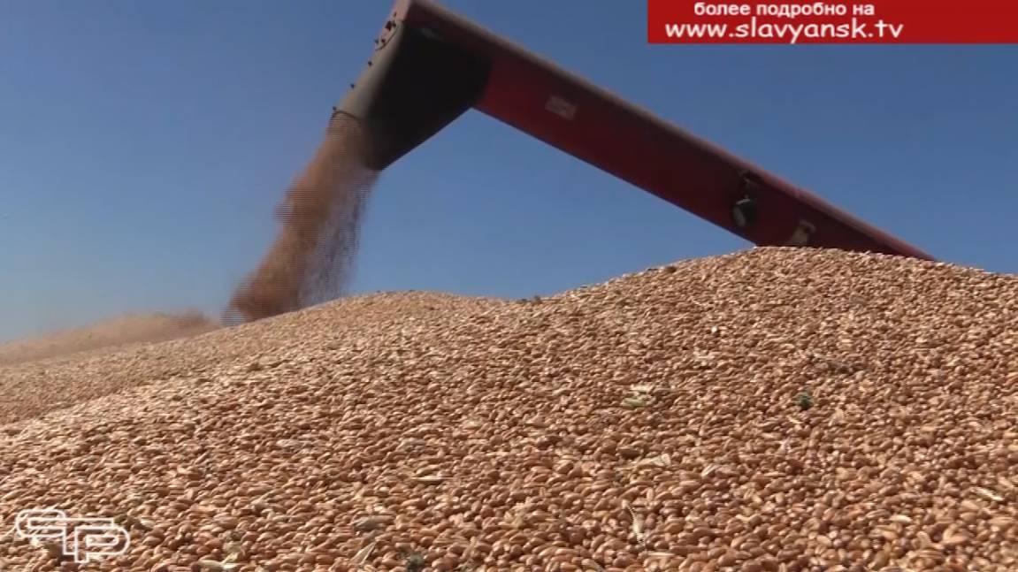 Горячая пора для хлеборобов смотреть онлайн