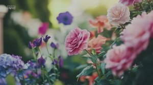 САДЫ БРИТАНИИ. ВДОХНОВЕНИЕ ДЛЯ СОЗДАНИЯ ОЧАРОВАТЕЛЬНЫХ САДОВ