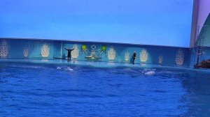 Океанариум Владивосток.mp4