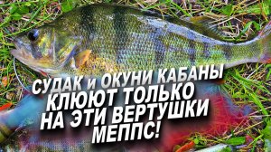 Забрались В ЗАПОВЕДНЫЕ МЕСТА на КРУПНОГО ОКУНЯ И СУДАКА! Лучшая БЛЕСНА на КРУПНОГО ОКУНЯ и СУДАКА!