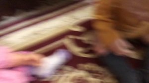 1 сезон игры в кальмара/ игра в кальмара с реборнами. ( реборны) реборны играют в игру в кальмара!