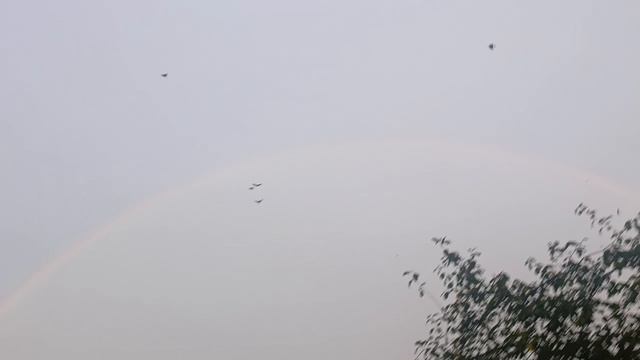 🌈вечер 8.07.25 смотреть онлайн