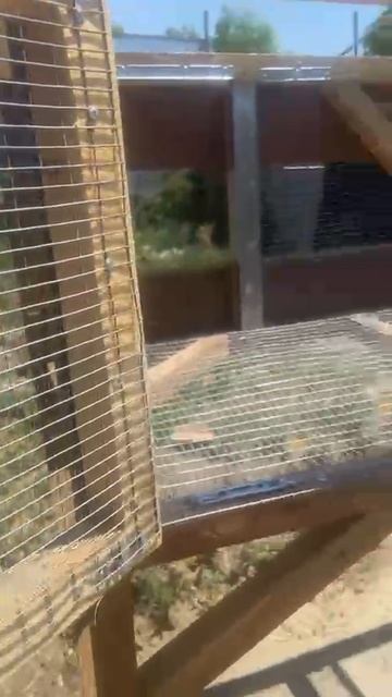 Крольчатник