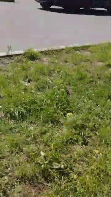 Мы  едем на стадион!!!