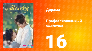 Профессиональный одиночка 1 сезон 16 серия