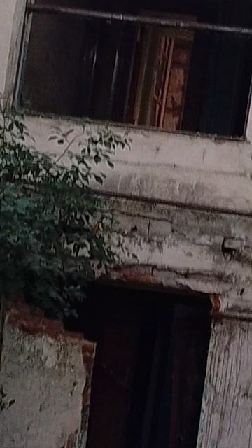 заброшка смотреть онлайн